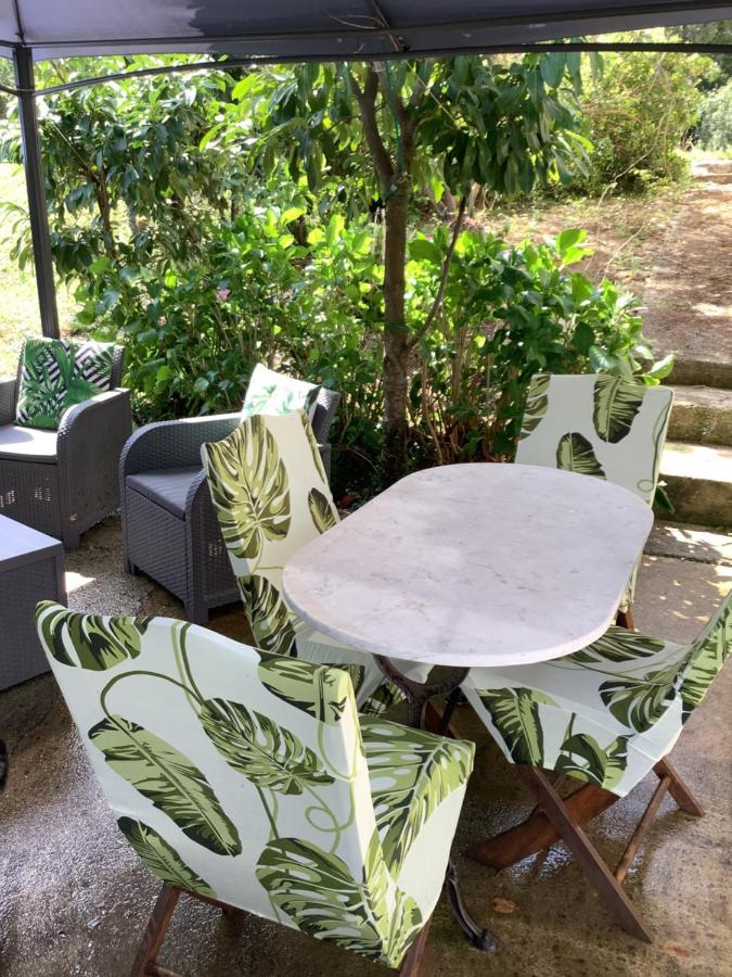 Charmant Appartement 2 Pieces Eccica-Suarella  Ngoại thất bức ảnh